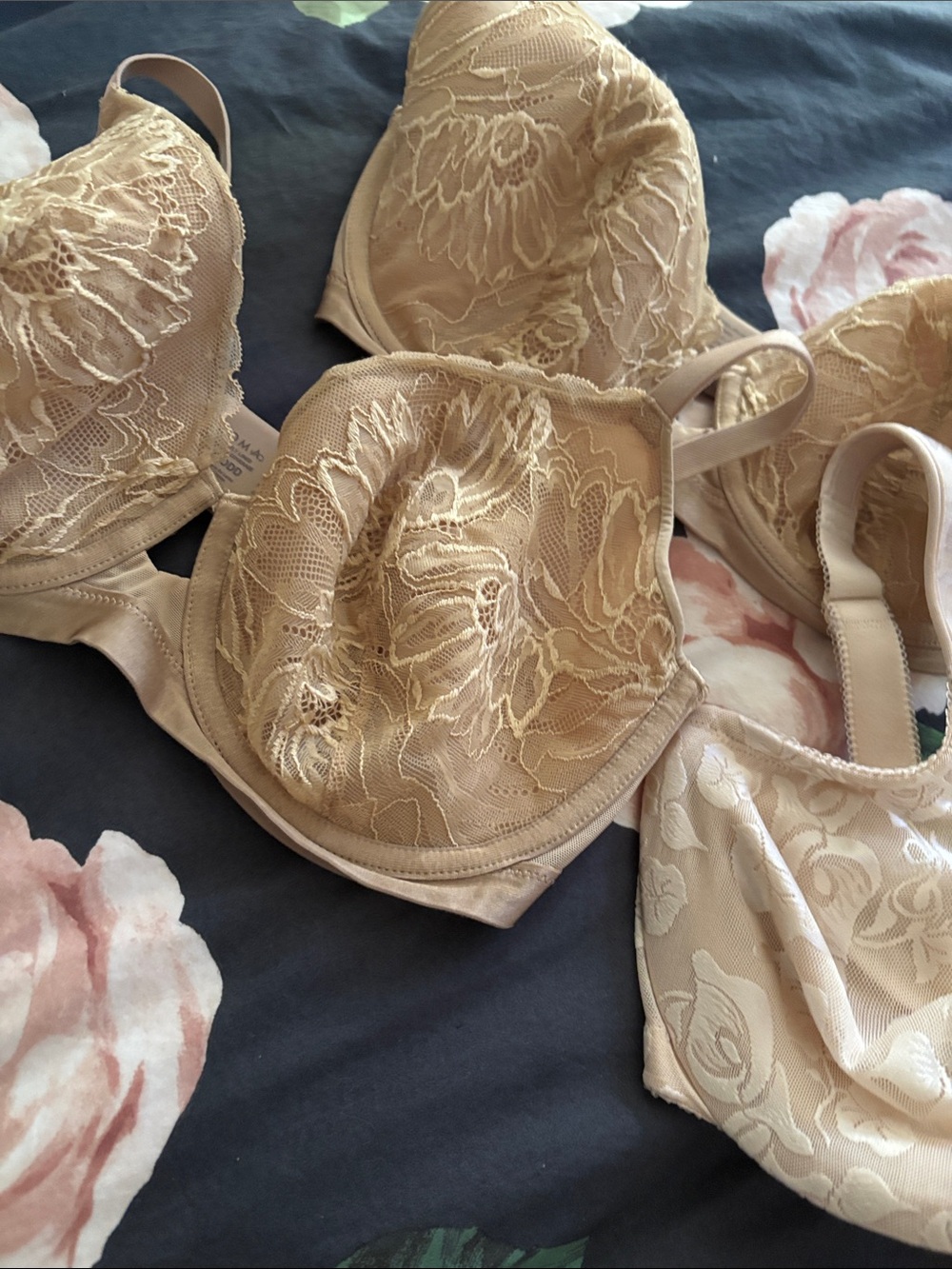💋Lot of bras 32DDD SOMA & WACOAL